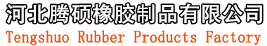 Chinese high-pressure hose manufacturer-Hebei Tengshuo Rubber Products Co., Ltd